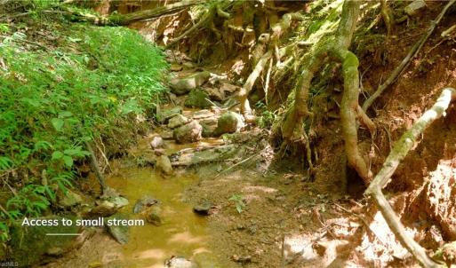 Photo #34 of Ellis Lawson, Danbury, NC 15.8 acres