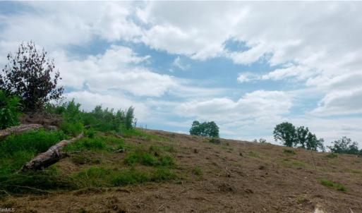 Photo #38 of Ellis Lawson, Danbury, NC 15.8 acres