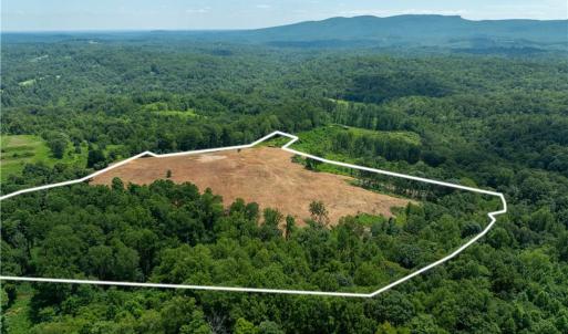 Photo #10 of Ellis Lawson, Danbury, NC 15.8 acres