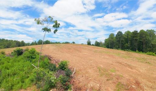 Photo #18 of Ellis Lawson, Danbury, NC 15.8 acres