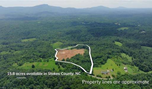 Photo #11 of Ellis Lawson, Danbury, NC 15.8 acres
