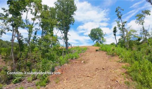 Photo #19 of Ellis Lawson, Danbury, NC 15.8 acres
