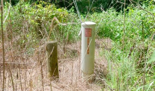 Photo #40 of Ellis Lawson, Danbury, NC 15.8 acres