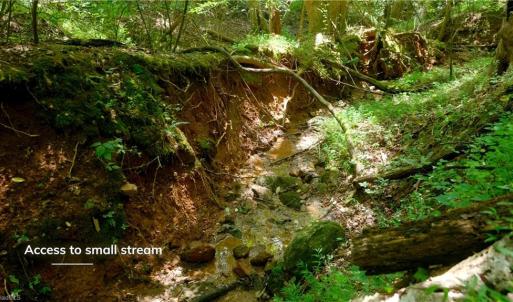 Photo #35 of Ellis Lawson, Danbury, NC 15.8 acres
