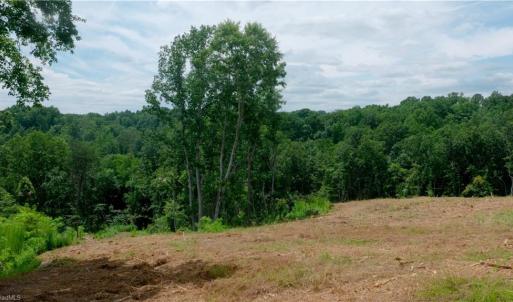 Photo #31 of Ellis Lawson, Danbury, NC 15.8 acres