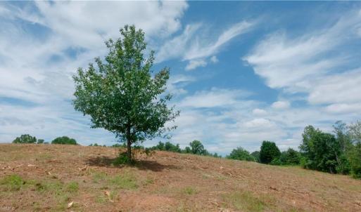 Photo #29 of Ellis Lawson, Danbury, NC 15.8 acres