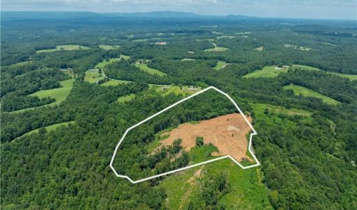 Photo #8 of Ellis Lawson, Danbury, NC 15.8 acres