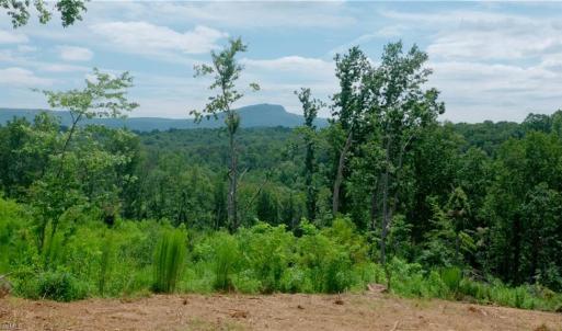 Photo #25 of Ellis Lawson, Danbury, NC 15.8 acres