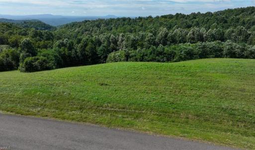Photo #12 of Continental, Hillsville, VA 1.6 acres