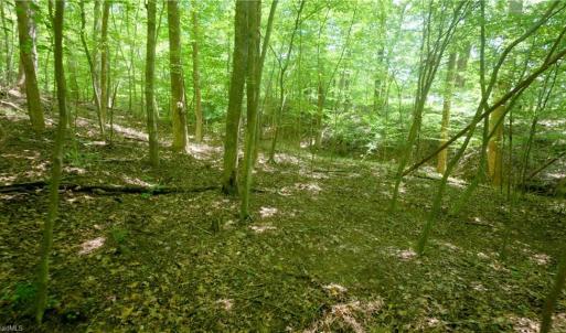 Photo #17 of 1508 Johnson, King, NC 2.3 acres