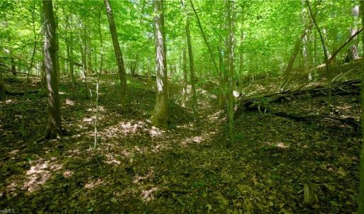 Photo #16 of 1508 Johnson, King, NC 2.3 acres