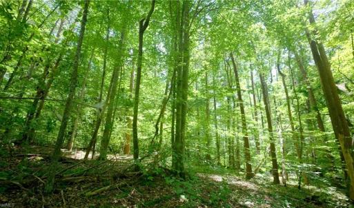 Photo #20 of 1508 Johnson, King, NC 2.3 acres