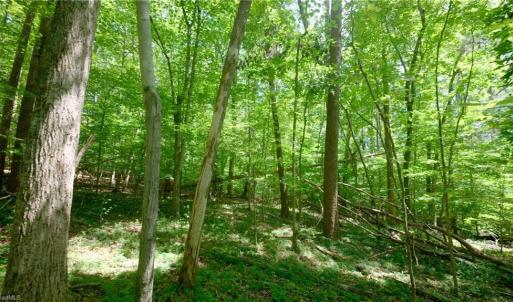 Photo #18 of 1508 Johnson, King, NC 2.3 acres