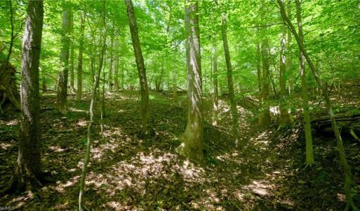 Photo #15 of 1508 Johnson, King, NC 2.3 acres