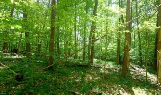 Photo #19 of 1508 Johnson, King, NC 2.3 acres