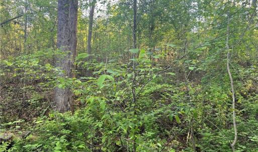Photo #23 of vista lindo, Winston-Salem, NC 0.5 acres