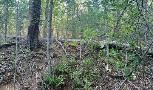 Photo #27 of vista lindo, Winston-Salem, NC 0.5 acres