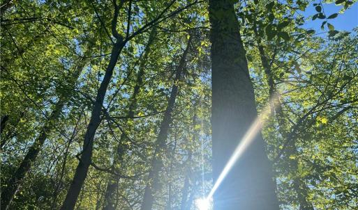 Photo #2 of vista lindo, Winston-Salem, NC 0.5 acres