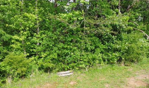 Photo #13 of vista lindo, Winston-Salem, NC 0.5 acres