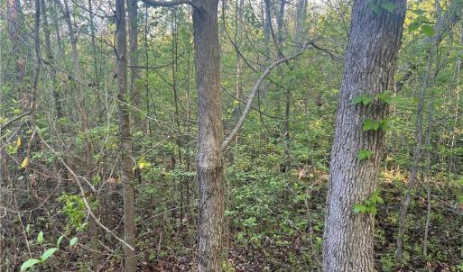 Photo #17 of vista lindo, Winston-Salem, NC 0.5 acres