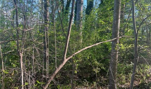 Photo #16 of vista lindo, Winston-Salem, NC 0.5 acres