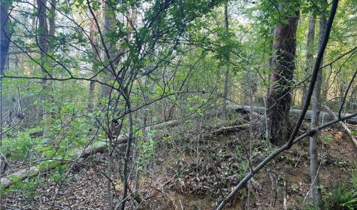 Photo #26 of vista lindo, Winston-Salem, NC 0.5 acres