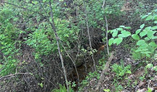 Photo #22 of vista lindo, Winston-Salem, NC 0.5 acres