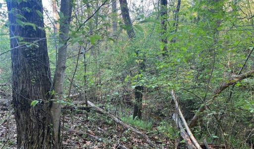 Photo #20 of vista lindo, Winston-Salem, NC 0.5 acres