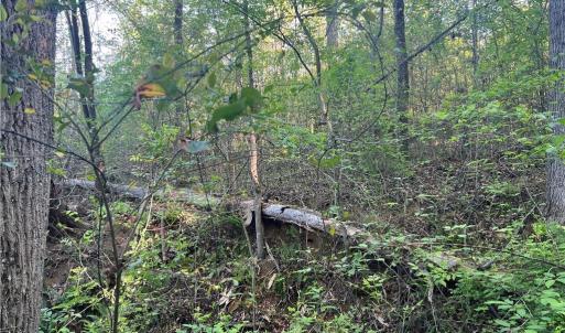 Photo #24 of vista lindo, Winston-Salem, NC 0.5 acres