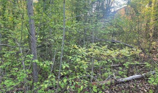 Photo #19 of vista lindo, Winston-Salem, NC 0.5 acres