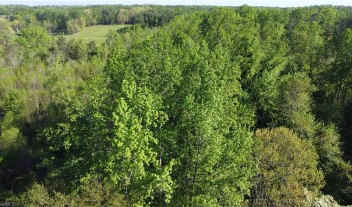 Photo #4 of vista lindo, Winston-Salem, NC 0.5 acres