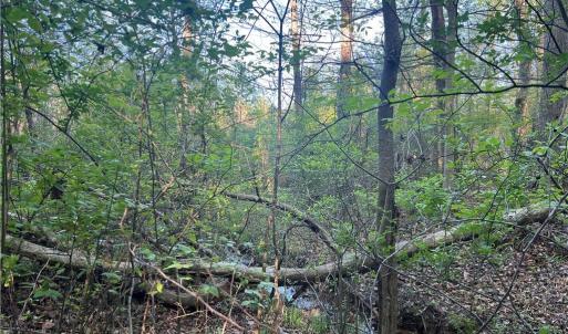 Photo #25 of vista lindo, Winston-Salem, NC 0.5 acres