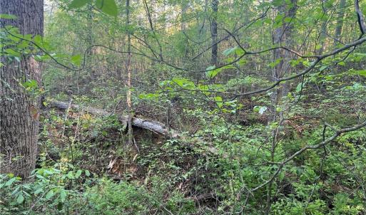 Photo #21 of vista lindo, Winston-Salem, NC 0.5 acres