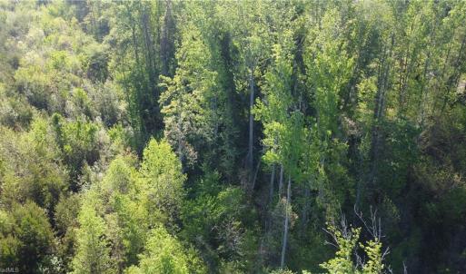 Photo #6 of vista lindo, Winston-Salem, NC 0.5 acres