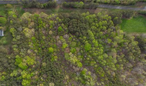 Photo #11 of Smith, Stoneville, NC 44.7 acres