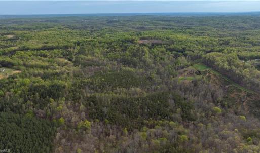 Photo #8 of Smith, Stoneville, NC 44.7 acres