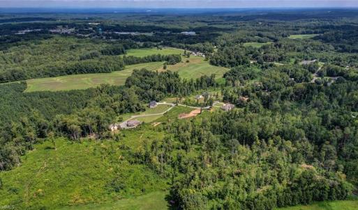 Photo #7 of Roberson, Reidsville, NC 6.0 acres