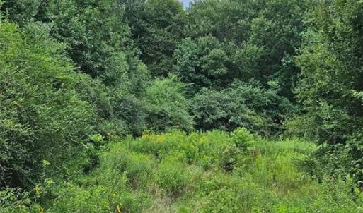 Photo #9 of 844 Chrisco, Seagrove, NC 22.7 acres