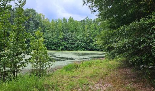 Photo #11 of 844 Chrisco, Seagrove, NC 22.7 acres
