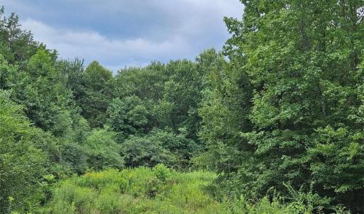Photo #8 of 844 Chrisco, Seagrove, NC 22.7 acres