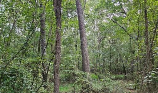 Photo #1 of 801 Chrisco, Seagrove, NC 16.7 acres