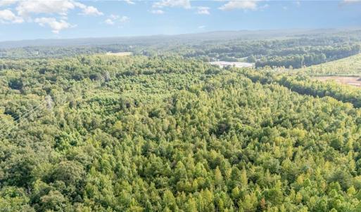Photo #3 of 2619 NC Highway 109, Thomasville, NC 46.8 acres