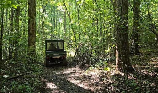 Photo #7 of Boone Farm, Asheboro, NC 80.9 acres