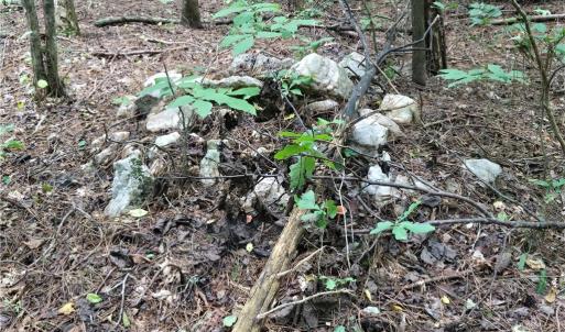 Photo #36 of Boone Farm, Asheboro, NC 80.9 acres