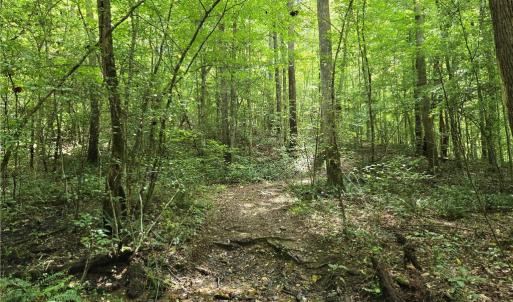Photo #32 of Boone Farm, Asheboro, NC 80.9 acres