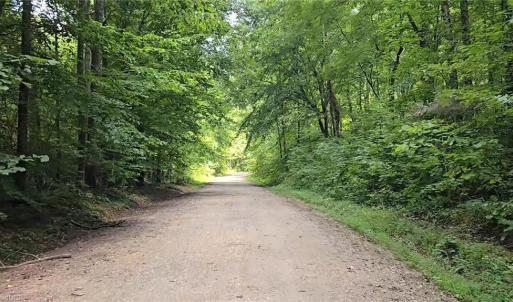 Photo #5 of Boone Farm, Asheboro, NC 80.9 acres