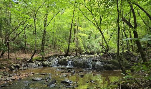 Photo #4 of Boone Farm, Asheboro, NC 80.9 acres