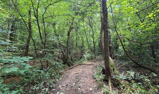 Photo #23 of Boone Farm, Asheboro, NC 80.9 acres