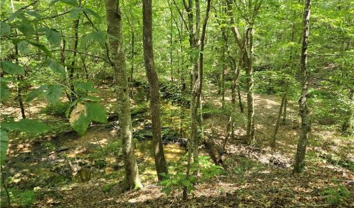 Photo #27 of Boone Farm, Asheboro, NC 80.9 acres