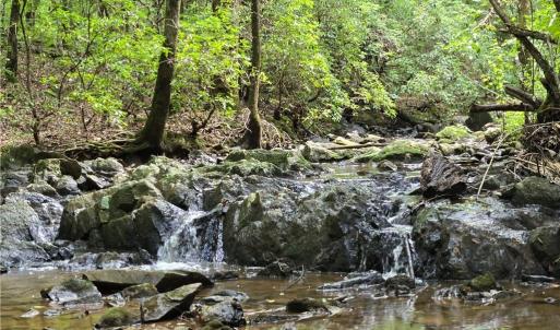 Photo #2 of Boone Farm, Asheboro, NC 80.9 acres